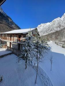 a snow covered building with a tree in front of it at Valbona Relax in Valbonë