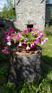 Piazza al SerchioにあるLa casa del girasoleのギャラリーの写真