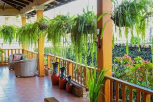 a balcony with vases and plants on it at Hotel Itzae in Copán Ruinas