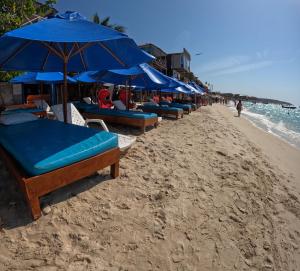 a row of blue umbrellas and chairs on the beach at Posada nativa casa azul in Playa Blanca