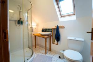 y baño con ducha, aseo y lavamanos. en Brosnan's Cottage, en Dingle
