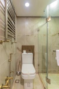 La salle de bains est pourvue de toilettes et d'une douche en verre. dans l'établissement Passage Art Hotel, à Baku