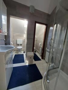 een badkamer met een douche, een toilet en blauwe matten bij Hostel SuzZzy in Novska