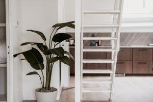 a white ladder in a kitchen next to a plant at Cathedral view from the bathtub in Antwerp