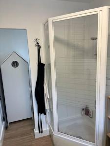 La salle de bains est pourvue d'une douche avec une porte en verre. dans l'établissement Ty glaz, à Ploubazlanec