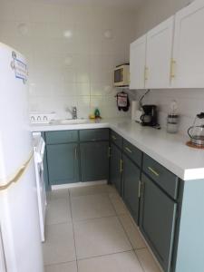 Kuchyň nebo kuchyňský kout v ubytování Golden View Apartment