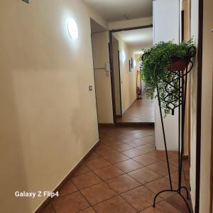 Fotografie z fotogalerie ubytování SweetHouseVittorio v Římě