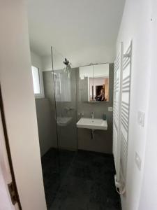a bathroom with a sink and a shower at Hoch über dem Rheintal in Breil/Brigels