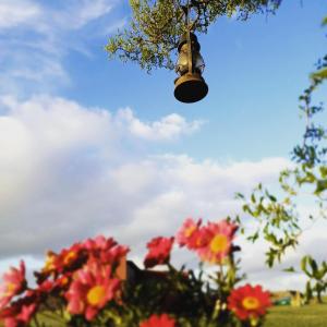 una campana colgando de un árbol junto a las flores en El Molino cabañas en General Juan Madariaga