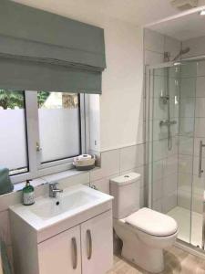 een badkamer met een toilet, een wastafel en een douche bij Relaxing studio and garden in St Hilary in Cowbridge