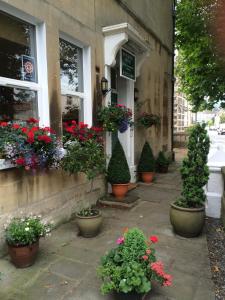 a group of potted plants on the side of a building at Avon Guesthouse in Bath