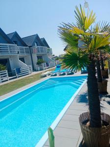 una piscina con palmeras junto a una casa en Morskie domki Mielno en Mielno