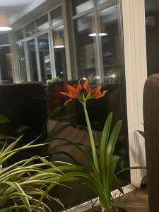 Posedenie v ubytovaní Hotel Sofiivka