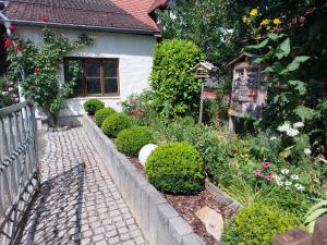 un jardin avec des fleurs et des plantes devant une maison dans l'établissement Kleines Bauernhaus mit nostalgischem Flair, à Rheinhausen