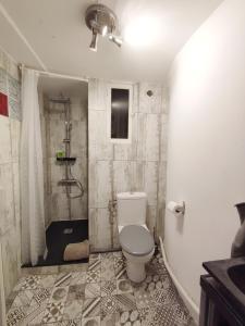 ein Bad mit einem WC und einer Dusche in der Unterkunft Appartement typique entre la Gare et la Canebière in Marseille