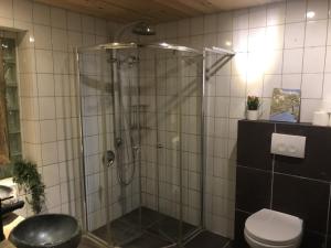 ein Bad mit einer Dusche und einem WC in der Unterkunft FeWo PacoHaus nähe Willingen Diemelsee in Brilon
