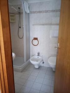 uma casa de banho com um chuveiro, um lavatório e um WC. em ALBERGO AL LAGO em Imer