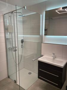 a bathroom with a glass shower and a sink at FeWo Zakharov in Lahr