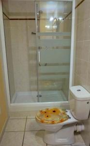 La salle de bains est pourvue de toilettes et d'une douche en verre. dans l'établissement F 1 COCOON au coeur de Prades, à Prades