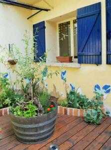 una terraza de madera con 2 macetas grandes de plantas en una casa en F 1 COCOON au coeur de Prades en Prades