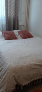 a bed with two red pillows on top of it at Appartement entier lumineux in Joué-lès-Tours