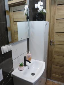 a bathroom with a white sink and a mirror at Nowoczesny apartament z garażem i balkonem Mokotów in Warsaw