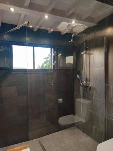 a bathroom with a glass shower with a toilet at Quinta Erva Doce in Vila do Porto