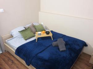 ワルシャワにあるUroczy apartament dla 4 osóbのベッド(青い毛布、テーブル付)