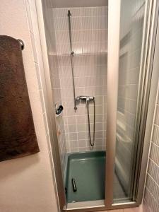 Villa Cafi - Monteur Room في Gründau: دش مع حوض استحمام أخضر في الحمام