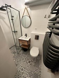 a bathroom with a toilet and a sink and a mirror at Nad Grajcarkiem in Szczawnica