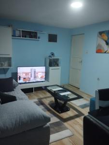 TV a/nebo společenská místnost v ubytování Sobe Popovica
