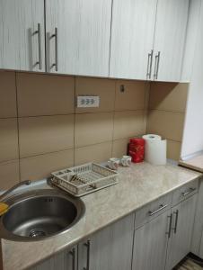 a kitchen counter top with a sink and a sink at Sobe Popovica in Soko Banja