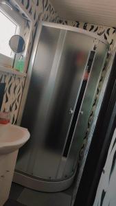 La salle de bains est pourvue d'une douche en verre et d'un lavabo. dans l'établissement Gravas mala, à Sigulda