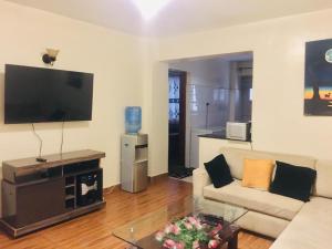 a living room with a couch and a flat screen tv at Waridi Apartments in Nairobi