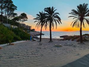 a beach with two palm trees at sunset at VANCOUVER en SALOU in Salou