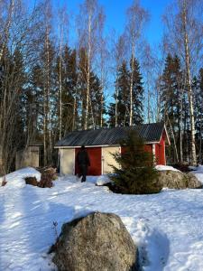 a man standing in the snow in front of a smallshed at Summer House with Sauna on Beautiful Island 
