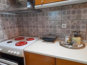 Kuchyň nebo kuchyňský kout v ubytování Antonioy apartment Kalampaka