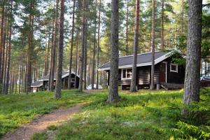 a cabin in the woods with a dirt road in front at Laahtanen camping in Ristijärvi