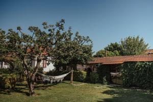 una hamaca en un patio junto a una casa en Casa de Marlães, en Lousada