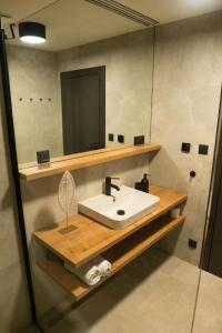 Resort Javorníky في ماكوف: حمام مع حوض ومرآة