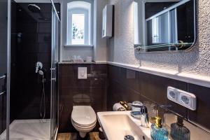 a bathroom with a sink and a toilet and a mirror at Villa Hänsch Suite 3 in Großschönau