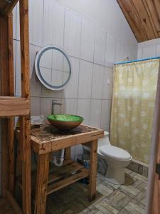 a bathroom with a sink and a mirror and a toilet at Eco Horqueta in Boquete