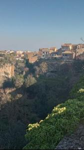 uitzicht op een stad met gebouwen op een heuvel bij OLD TOWN HOUSE LA CORTE Casa Vacanze in Civita Castellana