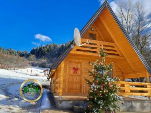 a cabin with a christmas tree in front of it at Vikendica i odmaraliste JuliE, Sarajevo-Jahorina in Tvrdimići