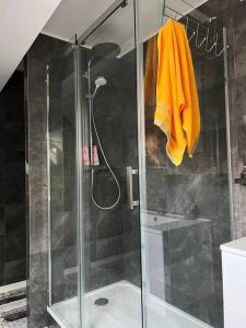 a bathroom with a shower with a glass door at Appartement En Allemagne près de Strasbourg in Willstätt