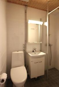 ロヴァニエミにあるSanta's apartment 2のバスルーム(トイレ、洗面台、鏡付)