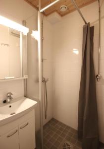 ロヴァニエミにあるSanta's apartment 2のバスルーム(シャワー、シンク付)