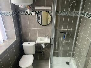 bagno con servizi igienici, lavandino e specchio di Appartement 2 - Hyper centre - 1 à 4 personnes a Douai