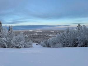 Lokatten Wärdshus talvel