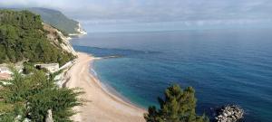 uma vista para uma praia com árvores e o oceano em 12 living em Ancona